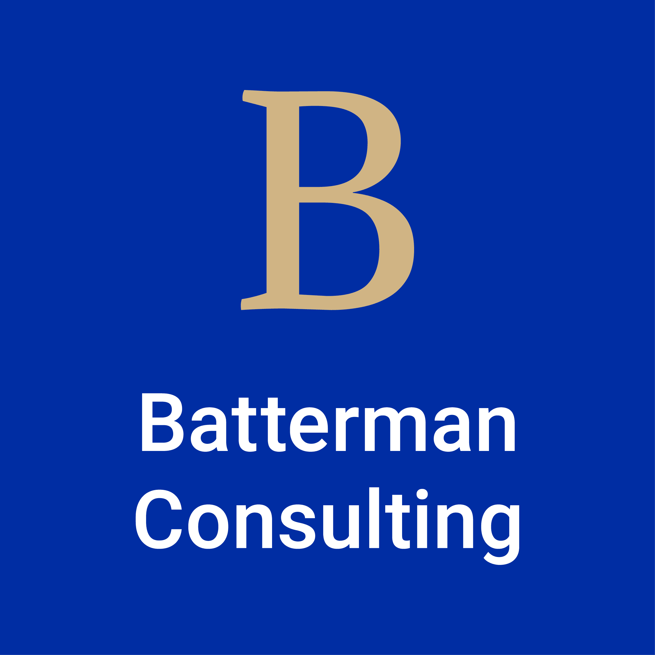  logo batterman v1 240409